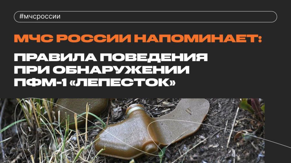 ������� ��������� ��� ����������� ���-1 ���������: ��� ���������� ����� ������ �����