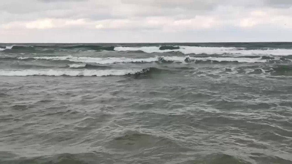 �������� �� ������: ���������� ����������� ���������� ������� ��������� ����� �� ��������������