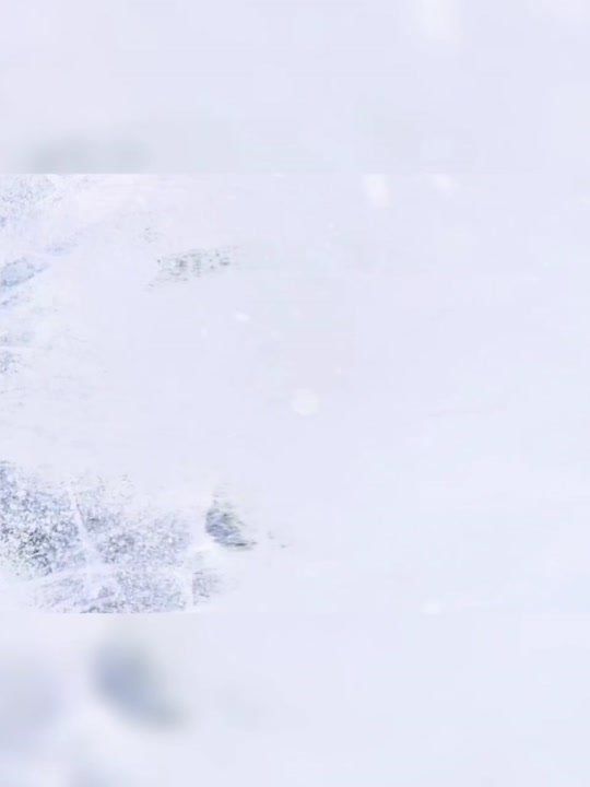 80 ����������� ������� �� ���������� �����������, ������� ��� ��� � ����� ���� ����������, � ����������� �� ��� ���� ���������� ��������� ������� ���������� ������ "������-2"