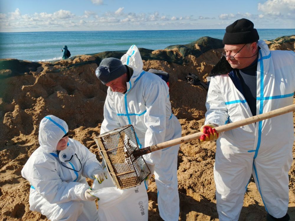 ���������� ������������� ����������� ����������� ������� �� ���� ������ � �������������� �������