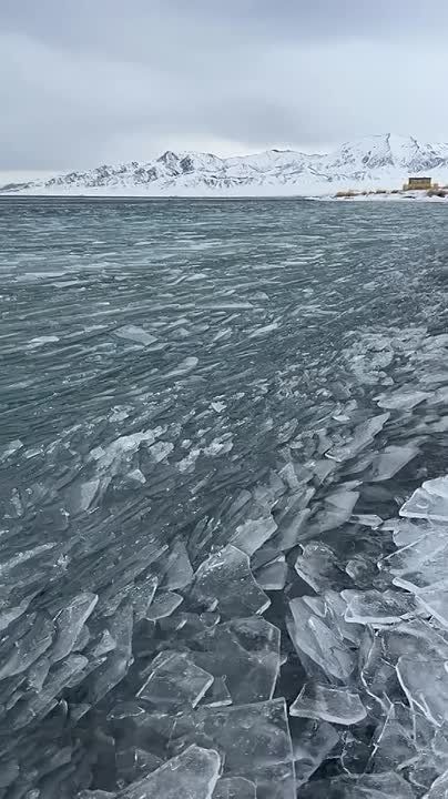 ���������� ������ ����. ������ ���� ����� ����������� � �������: ���� ������ ����� ����� ���� ������� ���� ����� ��� ����� ���� �������� ������!