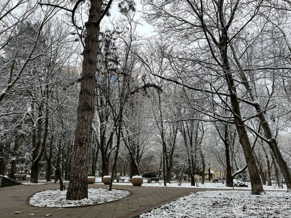 ������ �� ����� ����������� ������