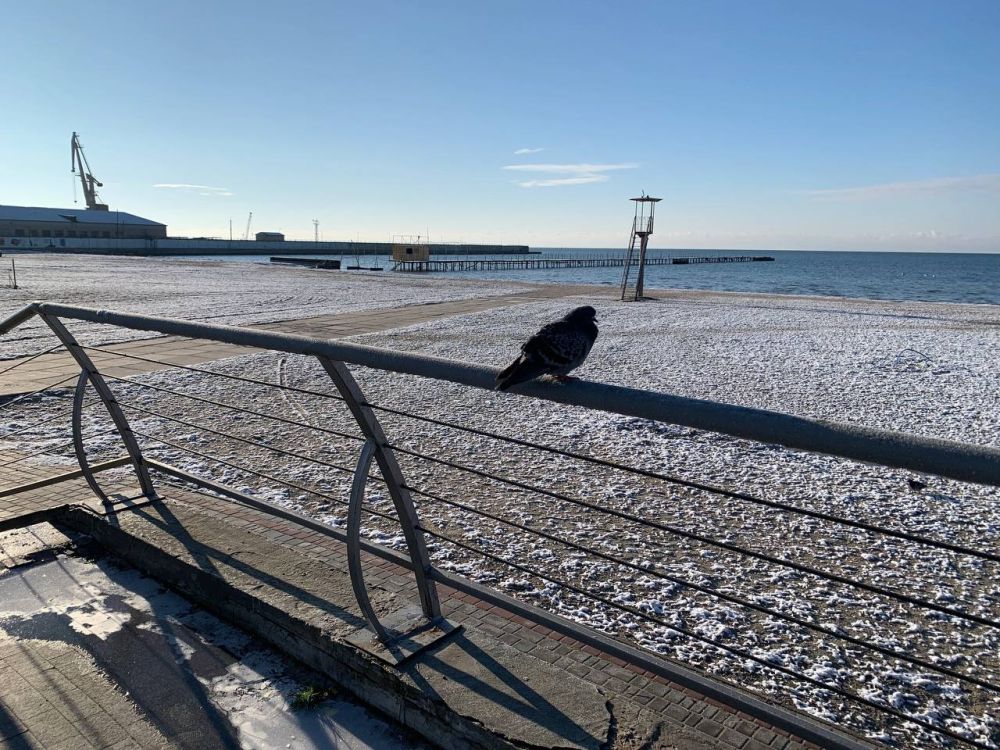 9 ������� 2024 ���� ��������� �������� � ��������� ������