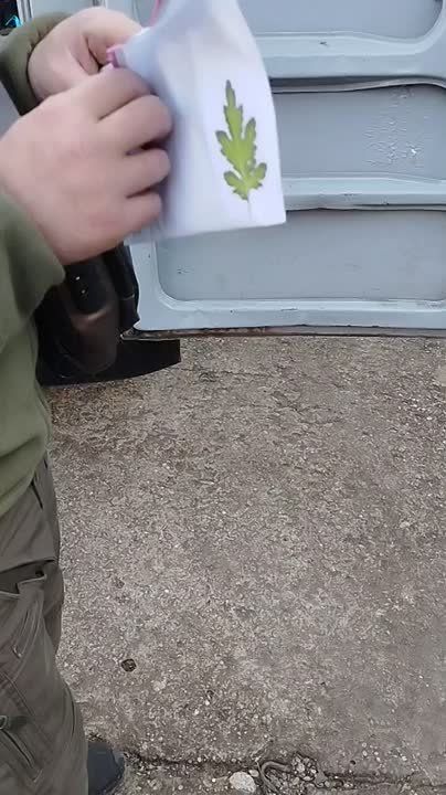 ����� ���� ��� � ���������� �������, � ��� �������������� �������������� �����������, � ������� ������� ���������� �� ���, � "������" ���� �����