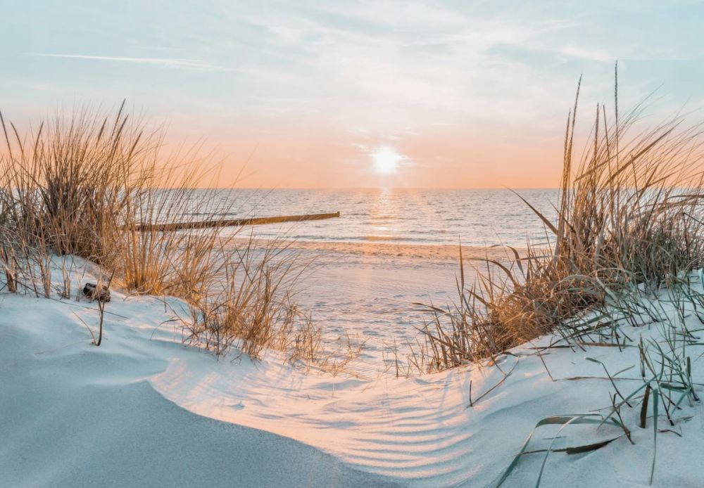 ����� ����������: ������ ����, ������! ����� ���� ������� �������� ���� ������ �� �������� ����������! ��������� ����� ������� ������� ������