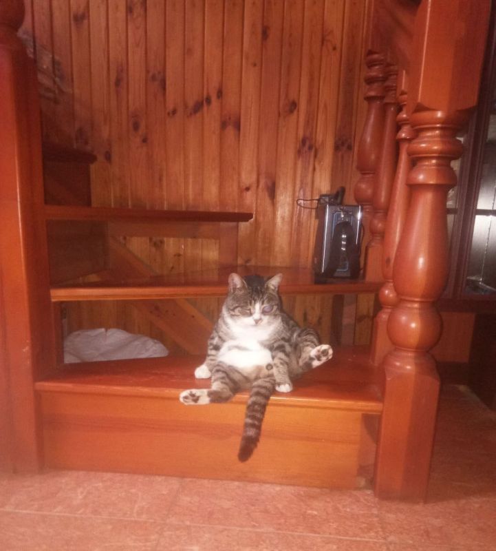 � ������ ������������ ����� ������������ �������� ����� ���������� ����������� ���������� ����� �����������