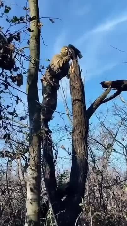 ������� ������ � ���������