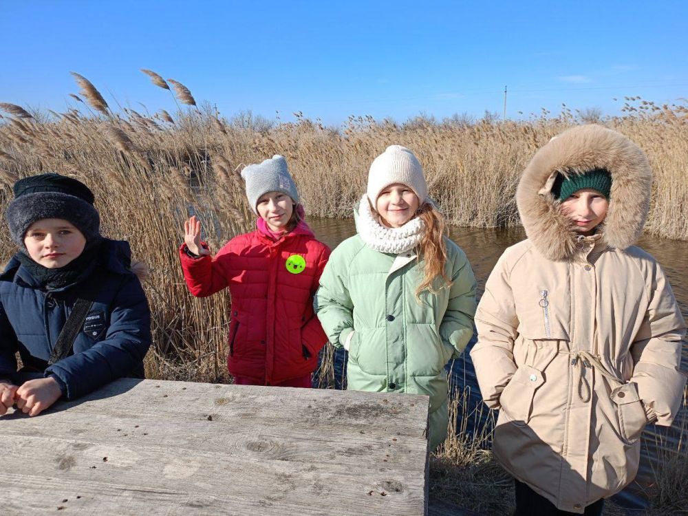 ���������� ����������-����������� ���������� ���� ����������� �����-����� ��������