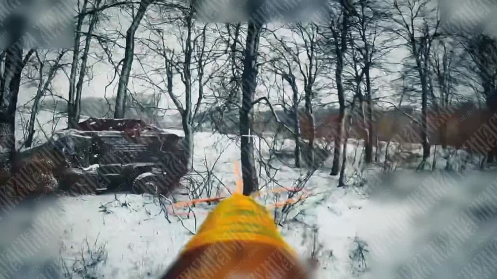 ���� �� �������: ������� 83 ����� � ������� �������