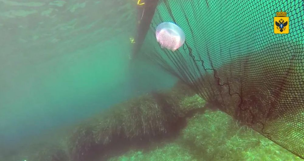 � �����-������������ �������� ������� ����� �� �����