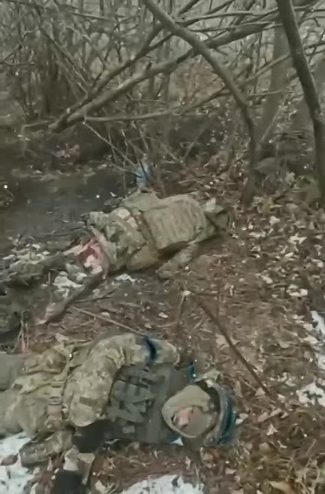 ����� ����� ����������� � ������� �������: �����