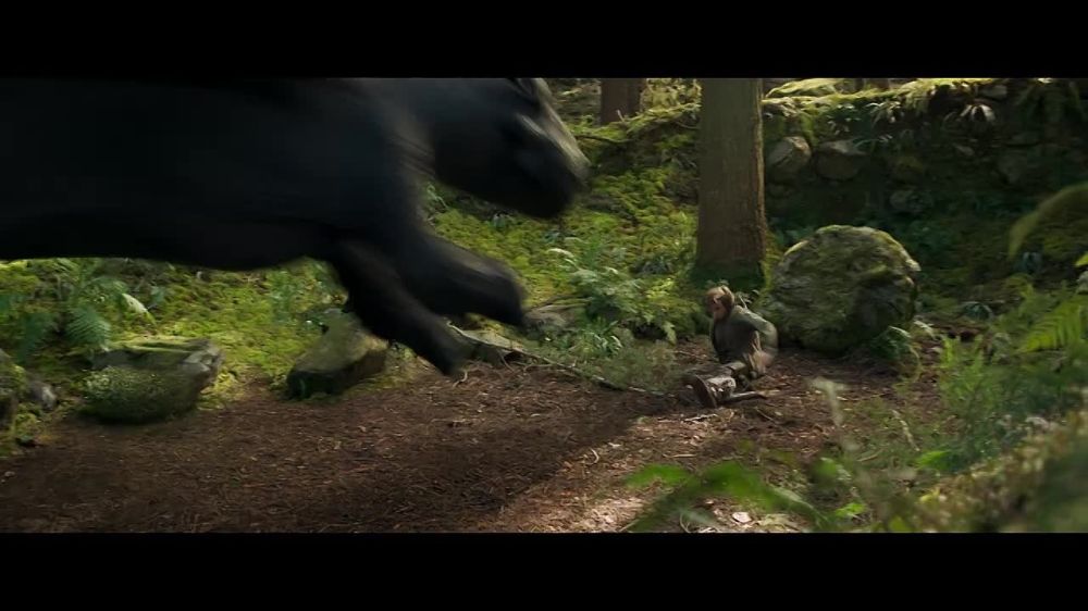 ��������� �������� ������ ������ � ����