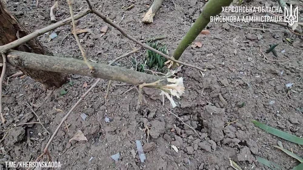 � �� ��� ������.... ������������ ����������: �������� ����� ��������