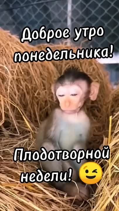 #������������