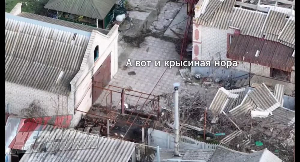 ���� �� �������: ���������� �����������. ���������� �������� �� ������ ����������� ������ �� ������������ � ������� ���������� ��������. ��� �� �� ����������� �������� ��� "������", ������� ���������� ���������� ���...