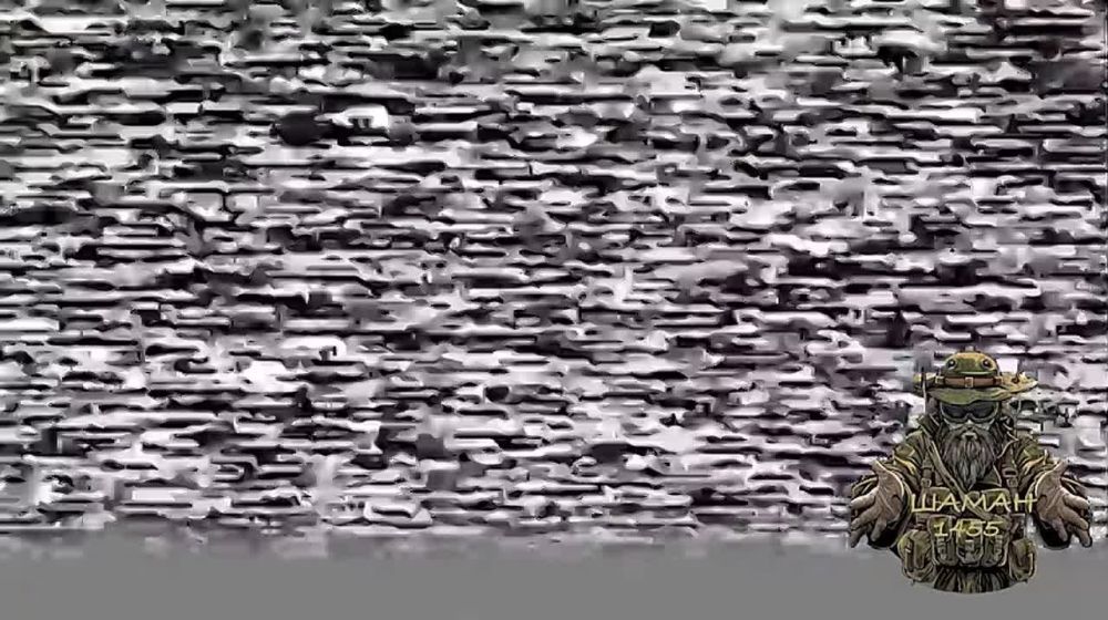 ���� �� �������: ����������� �����������. ����� �.�. �������������