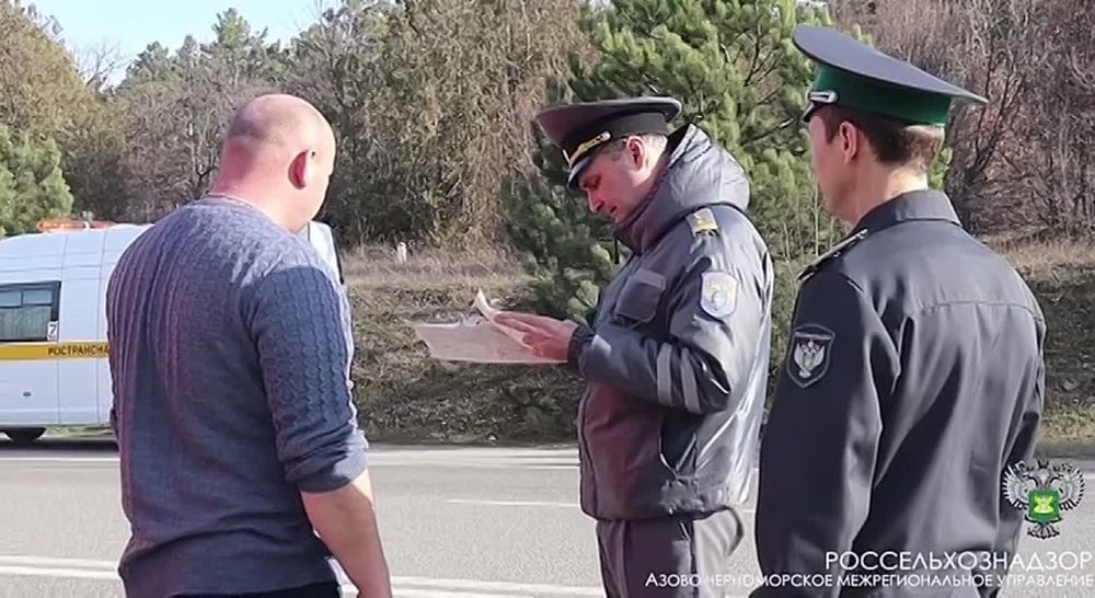 �����-������������ ��������������� ���������� ��������� � �������� ��� � 2024 ���� ������� ����� 140 �������� �����������