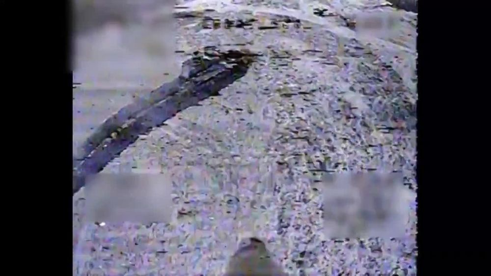 ��������� ������ ��������� ��������� � ����������� ������ �������������, ���������� �����������, �������� ������� ��������� ��� ���