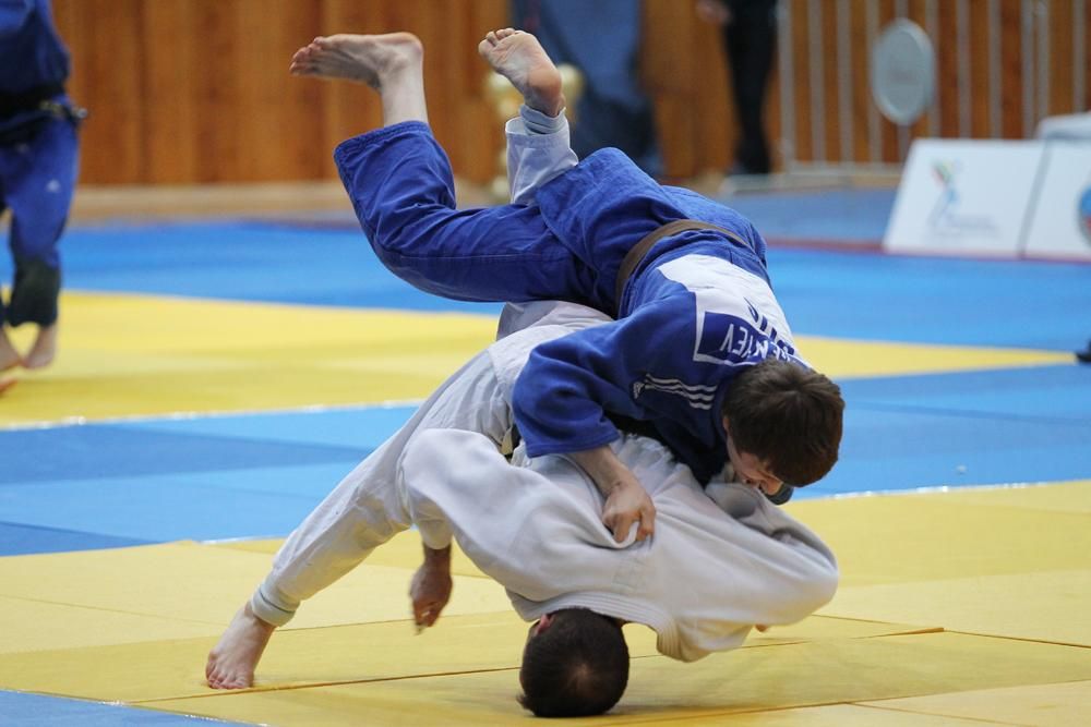 �������� �� ���������� ������� ������� �� ������������ � ������