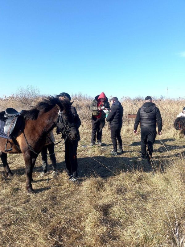 �����-����� �������� � ���������� ������: �������� ��� ����������� �������