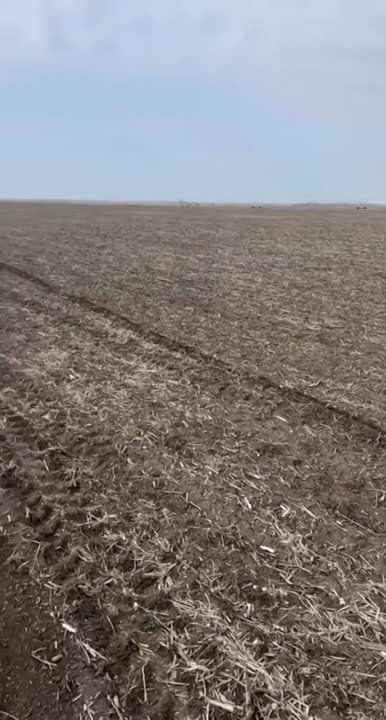 ������ �������� �������� � ����� �� ��� ���������� �������