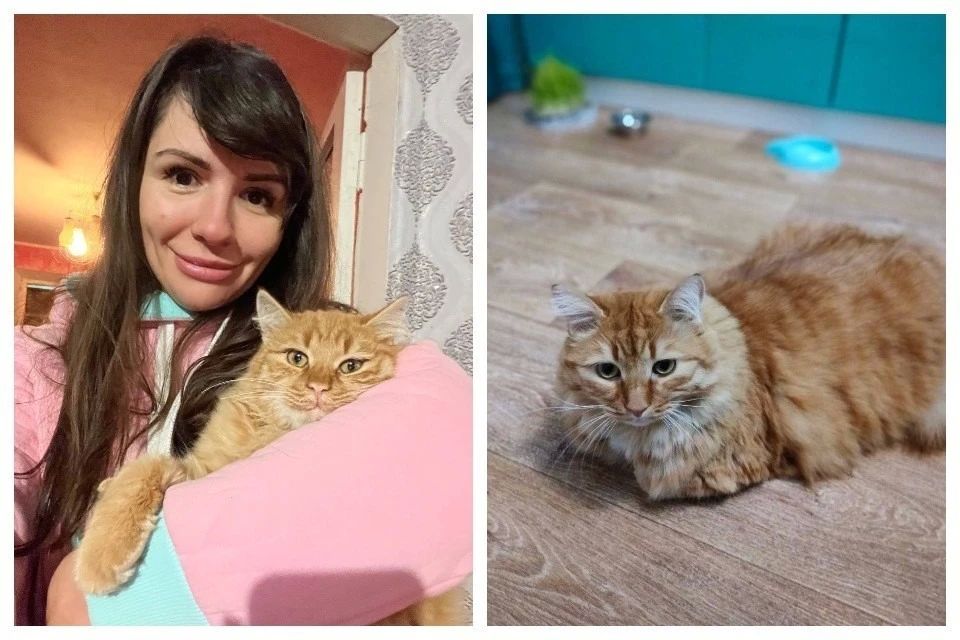 �������� ��� ������ �������� �� ��������� � ���