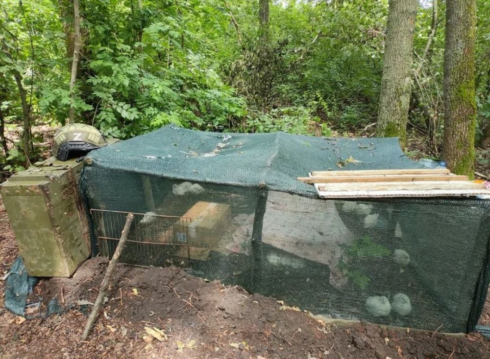 � ����� ���������� ���� ������� � �������������� ����� � �������� �� ������