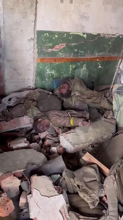 �������� ������. ��������-����� ���������� �������