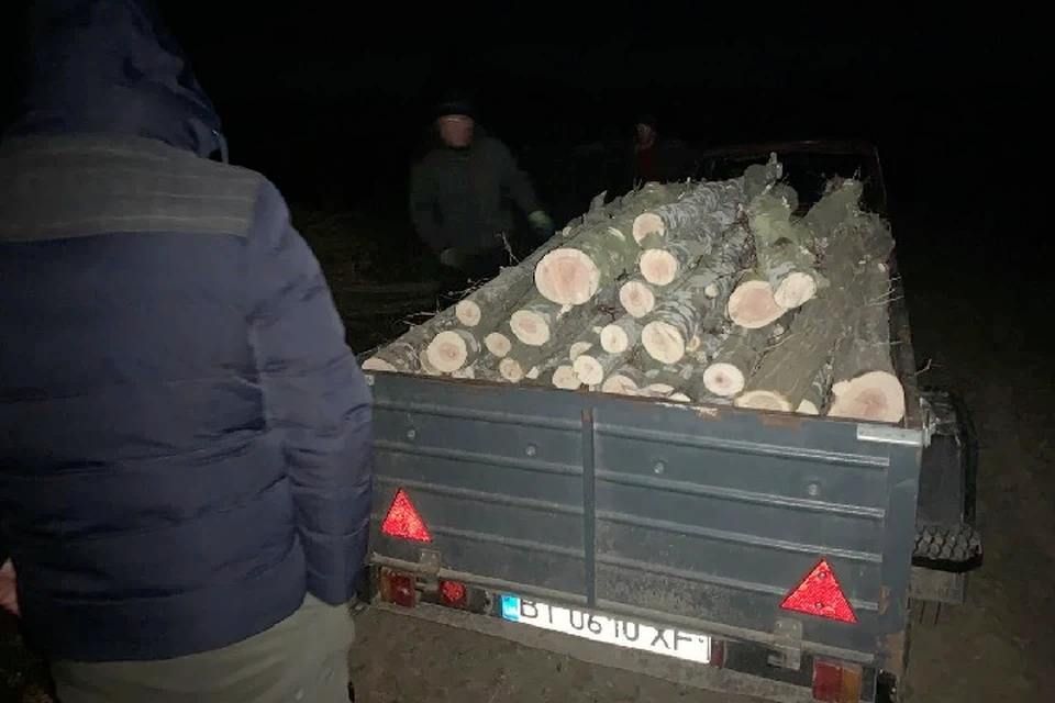 � ��������������� ������ ���������� ���������� ����� ��������