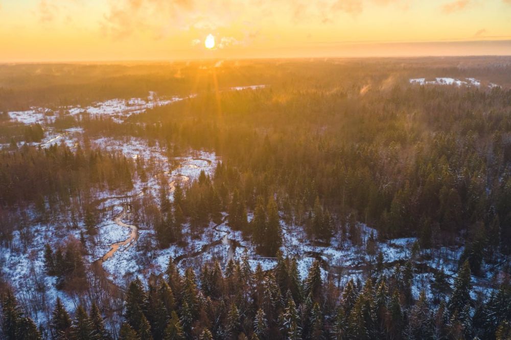 �� ����� ������ � ���������� ������� ��������� �������