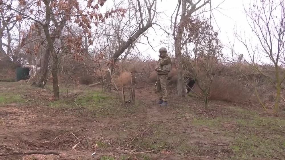 �����������: ������ ������� � �� ���� ���������� �������� �����