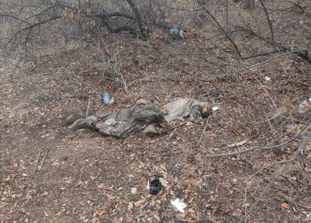 ��� ������ ����� ������