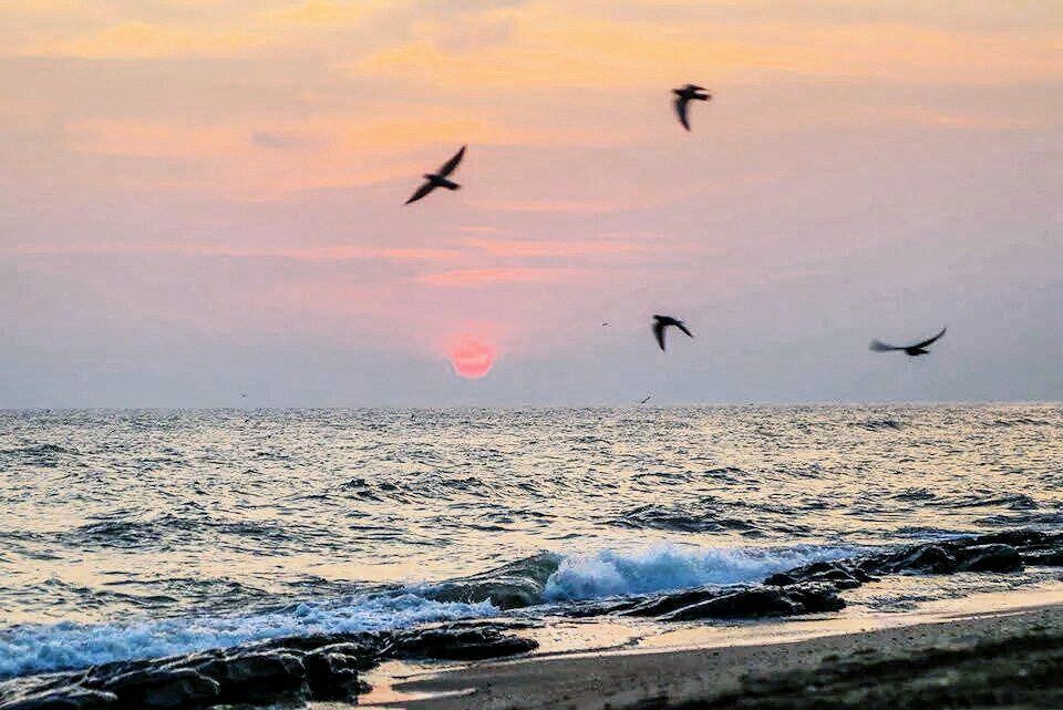 ����� ����������: ������ ����, ������! ����� ��� ���� ����� �������� ������� �������, ������������ � �������� �� ���������, �� �������� ��������! ����� ��� ����� ����� ��� ����, ��� �������� �������� ��������������