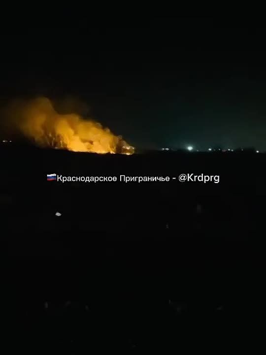 ���� ����: 50 ���������� ���� �����������/���������� ���������� ��� ��������� �����: 41 � ��� ������������, 5 ���� � ��� ����������� � 4 � ��� ���������� ���