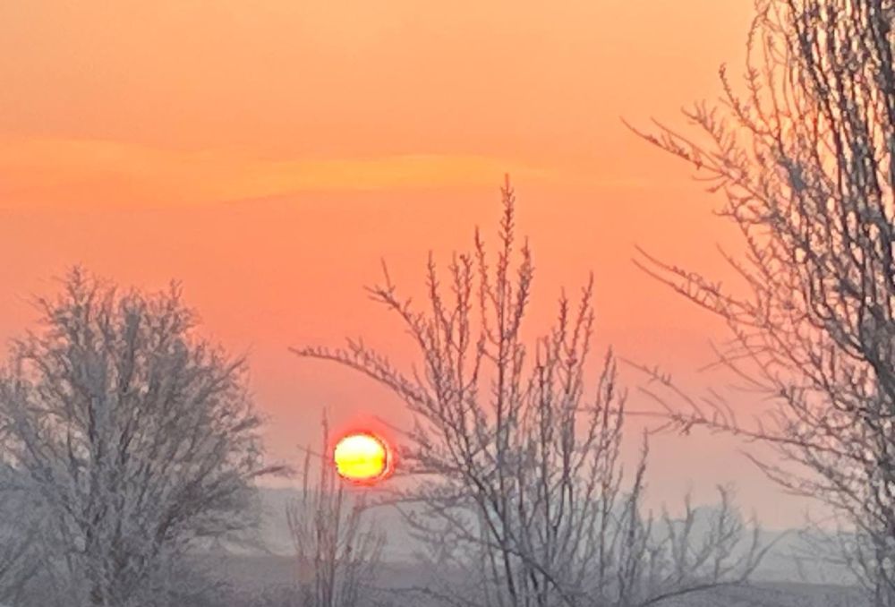 ����� ��������: ������� ���� � �������� ���� ���!