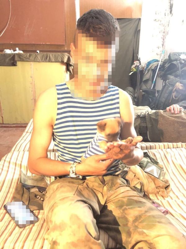 ���� �� �������: ������ ������ �� ����� ������ � ����������� �����������