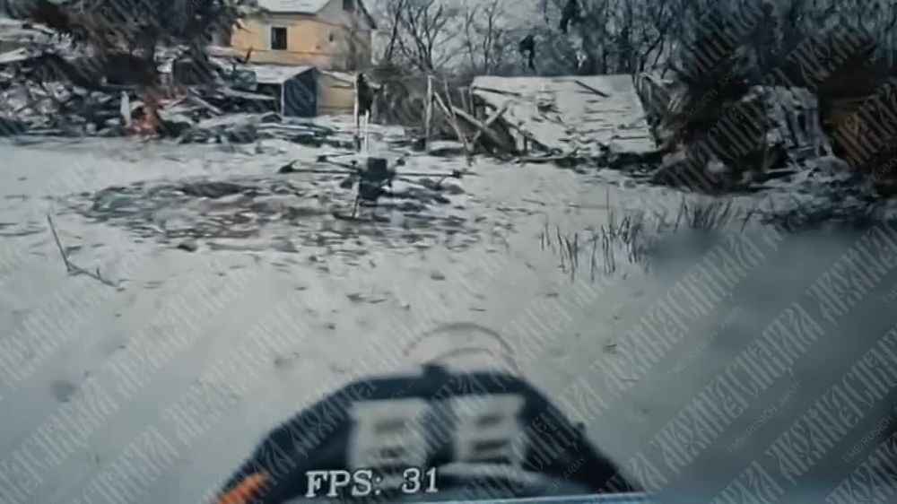 ������ ������ ������������ ������ ����� ���