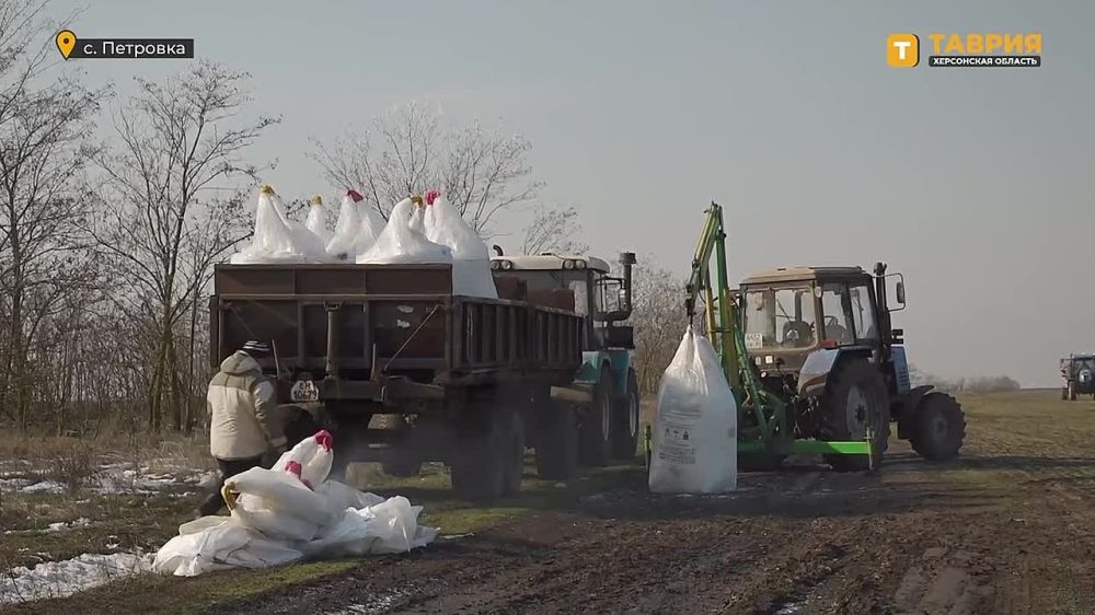 � ���������� ������� ��� ������ ������� ��� ������ 2025 ���� �������� 603 ������ ��������