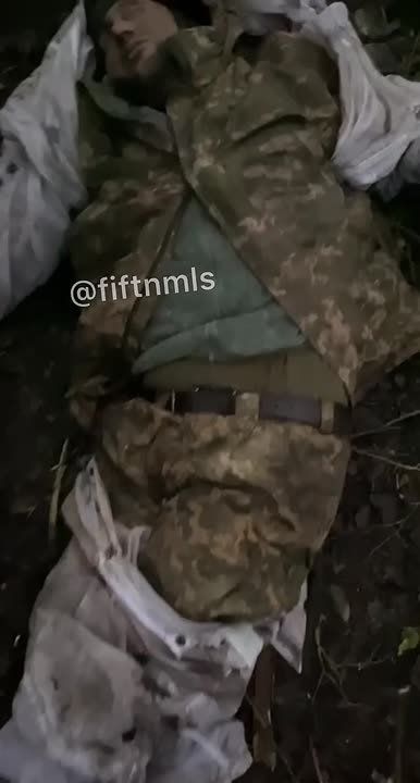 �������� � ���������� �� ����������