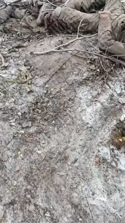 ������-������� �� ������