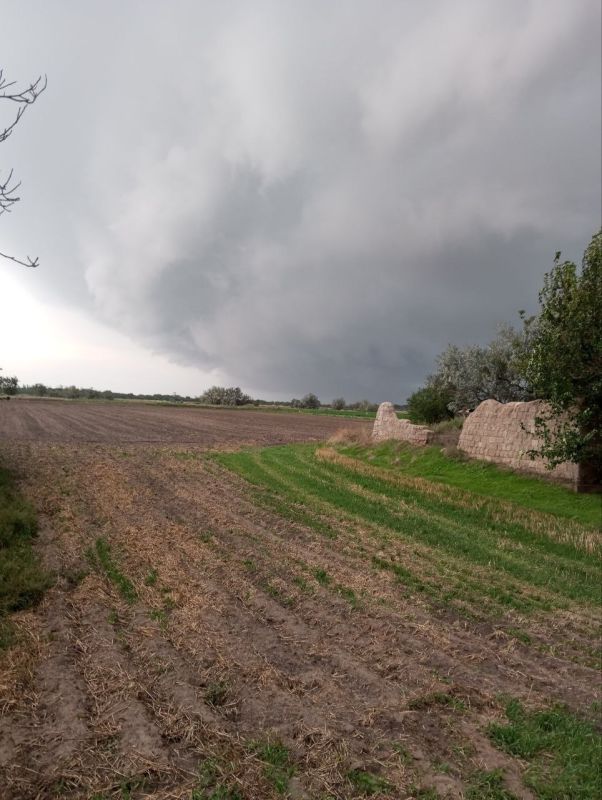 � ������ ������������ ����� ������������ �������� ����� ���������� ����������� ���������� ����� �����������