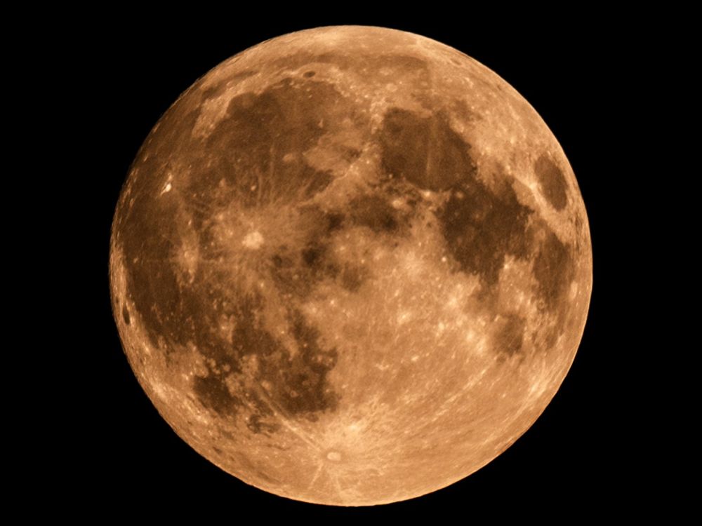 Сальдо послал Зеленского на Луну