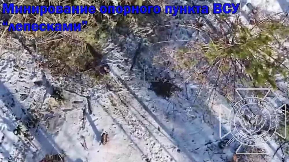 ���� �� �������: ����������� �������� ������ ���