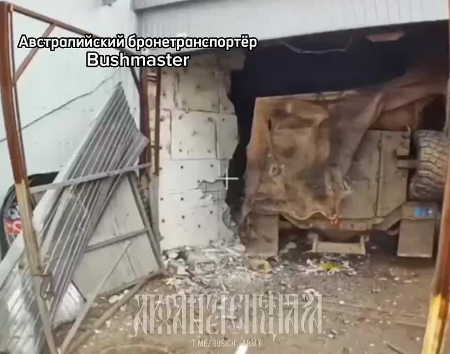 ������� �����������. ����� �� ������������ � ������� �������� ������ ������ ������ ������������ �������� ������������� ��������������� �Bushmaster� ���� �� �������