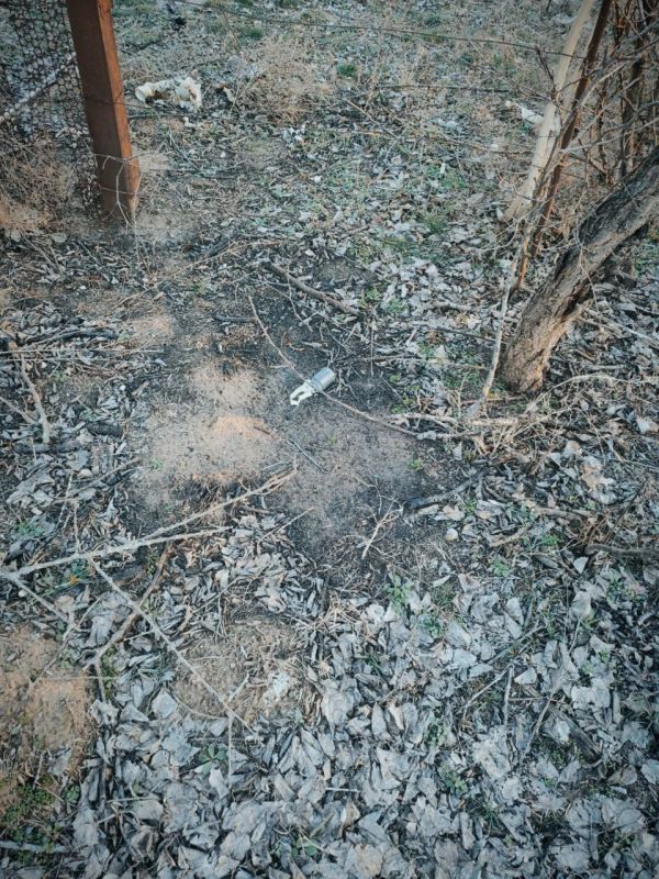 ��������!. ��������� �������� ��� ������ � �.�. ����� ������ ������ � �������� � �������� � ������� �������� �������������� � ��� � ���������. ������� ������ �������� ������� �����, ��� ������������� ���� �� ����� ���. ���...