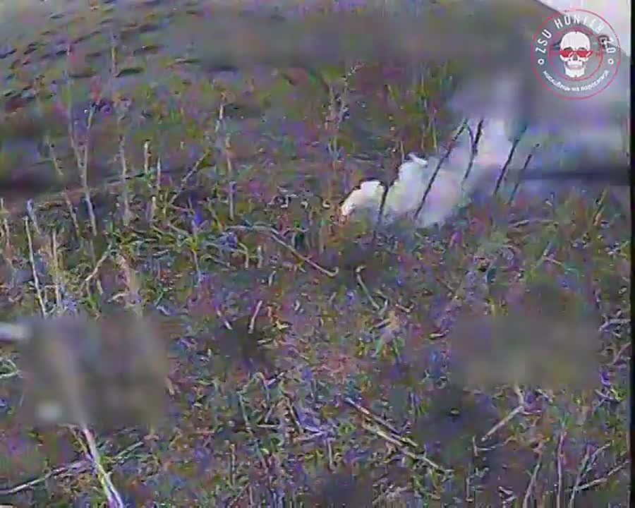 ���� �� �������: �������� ��������� �� @ZSU_Hunter_2_0