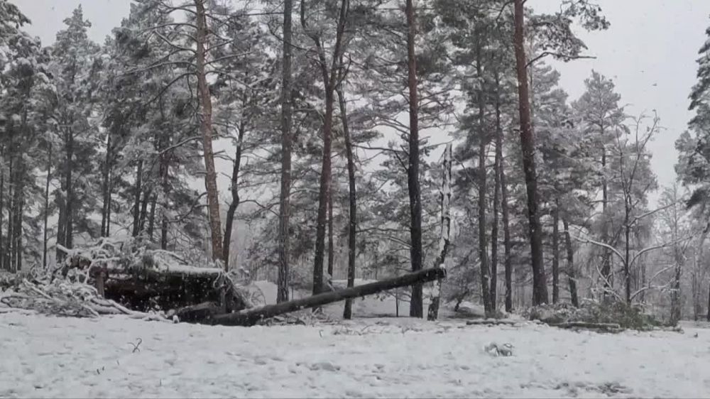 �������� ��������� ����� ���������� �������������� ���������� �� ������ ������ ������