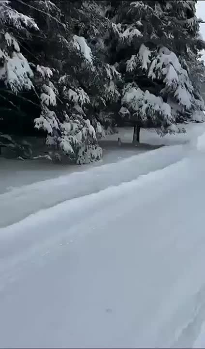 ���� ��������� ��������� ���, ������!