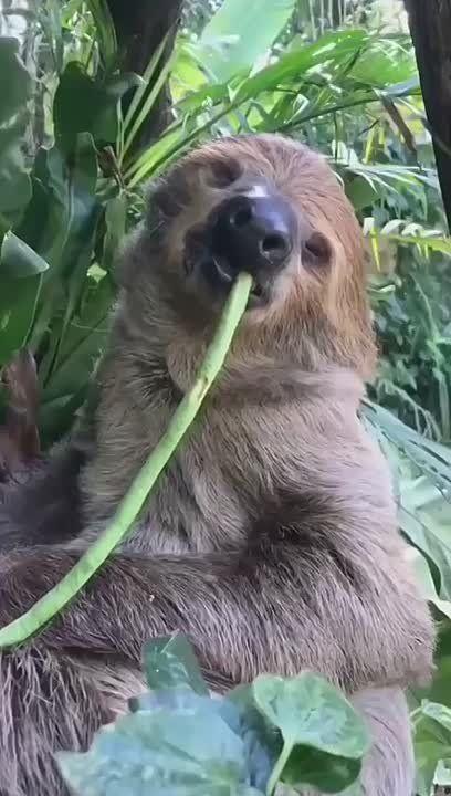 � � ��� ����� ����� �� �����������?