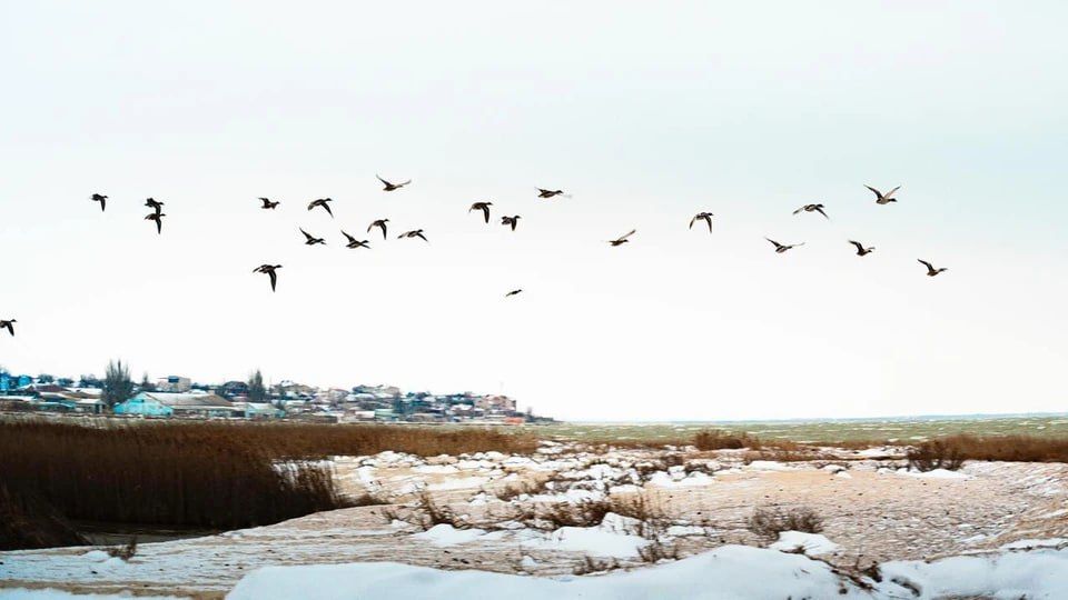 �������� ������ ��������� ������� ��������� ���������� �������